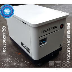燃?xì)獍l(fā)電機(jī)組報(bào)價(jià)解析 成本構(gòu)成與市場(chǎng)趨勢(shì)