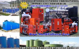 燃?xì)獍l(fā)電機(jī)組 清潔高效的能源解決方案