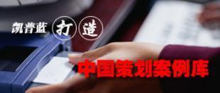企業整體形象CIS策劃 構建品牌核心競爭力的系統工程